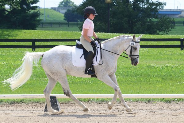 Prepare for Your First Horse Show