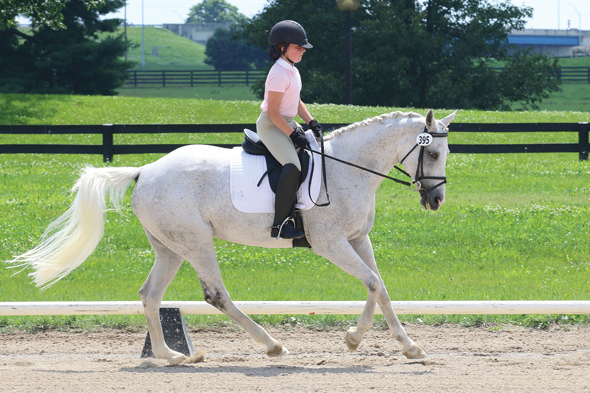 Prepare for Your First Horse Show