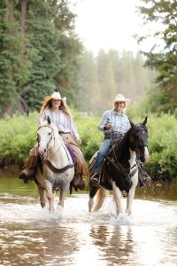 Horse Career: Trail Guide