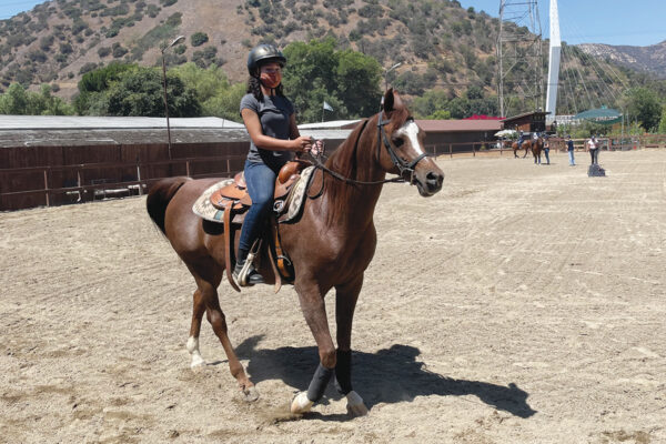 Taking the Reins: Teaching Inner City Girls About Horses