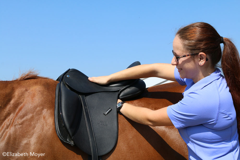 Checking an English saddle for fit