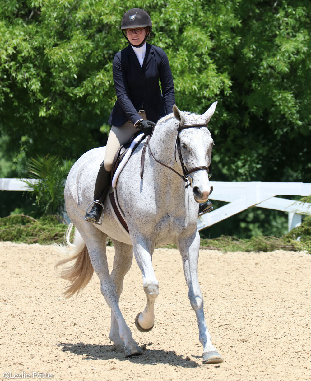 Hunt seat equitation canter