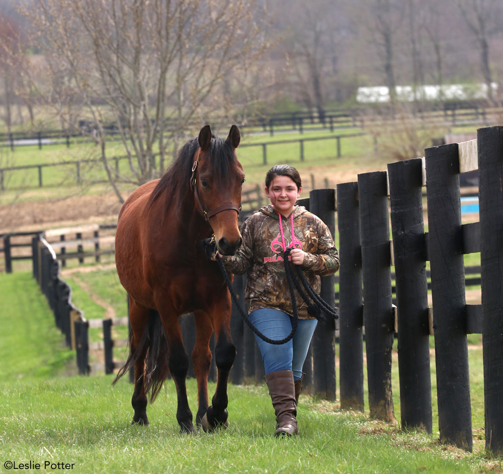 How to Find a Kid's First Horse