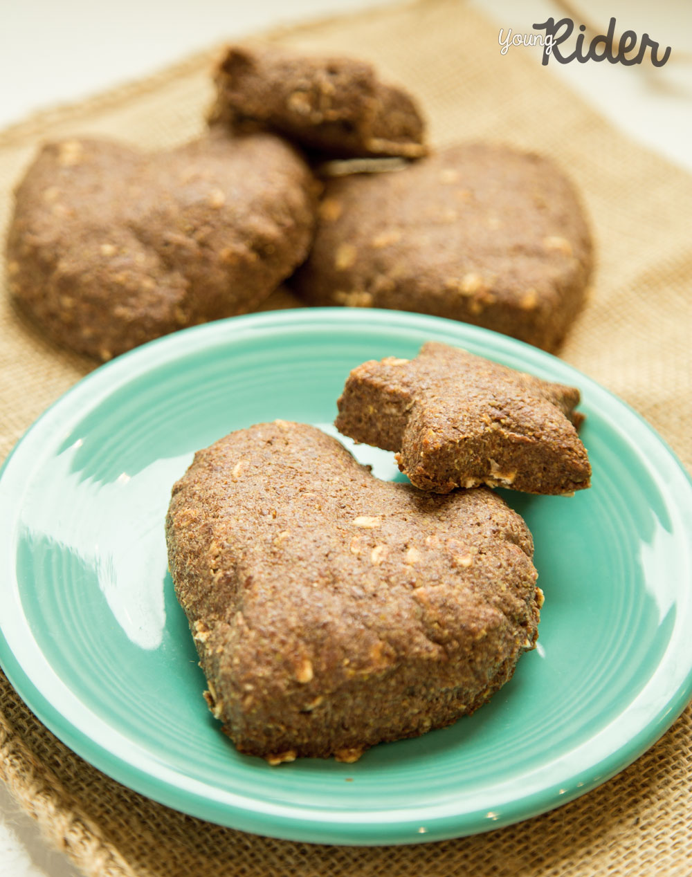 Healthy Horse Treat Recipe