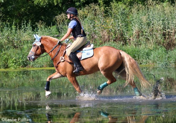 Safety Vests for Equestrians