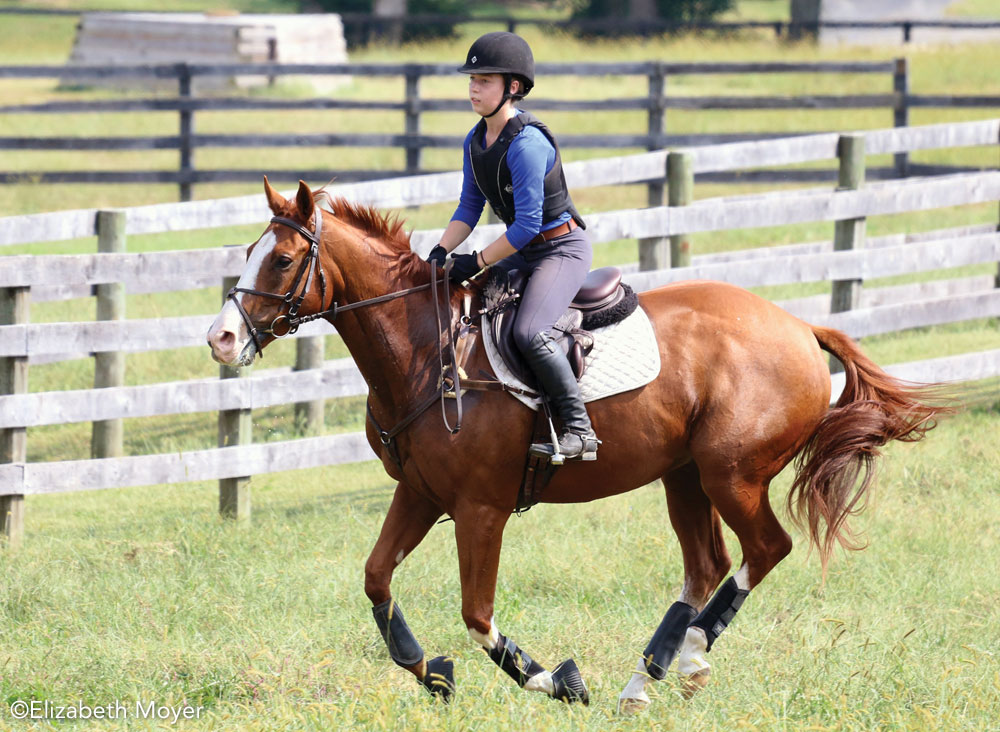 Cantering English horse