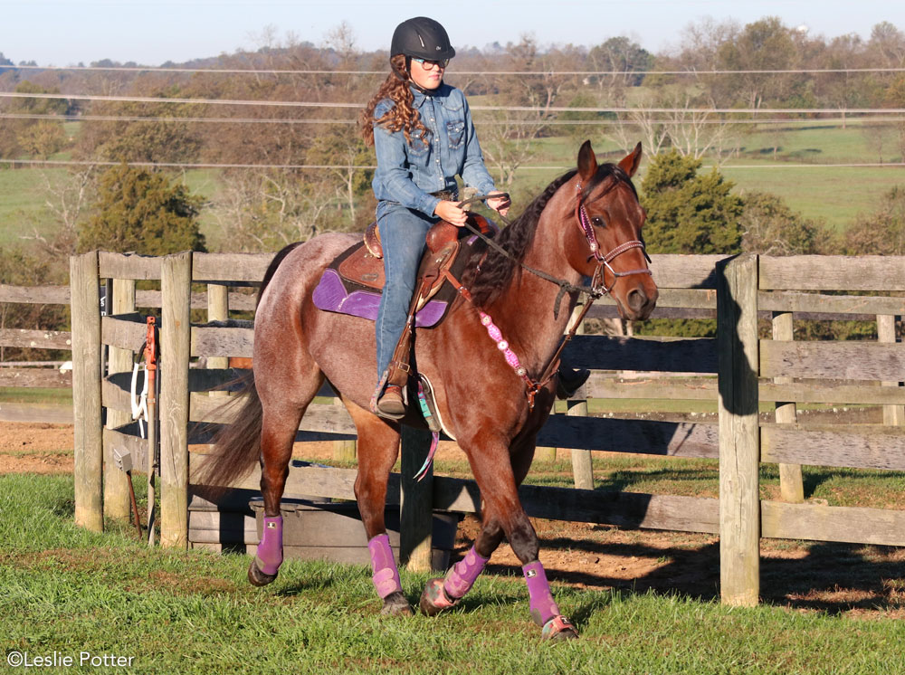 Western Lesson: Slow Your Horse Down