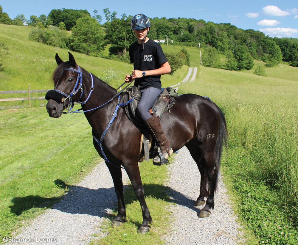 Christopher Loomis riding his Morgan mare