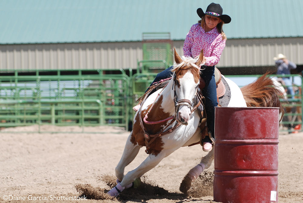 Two Barrel Racing Exercises