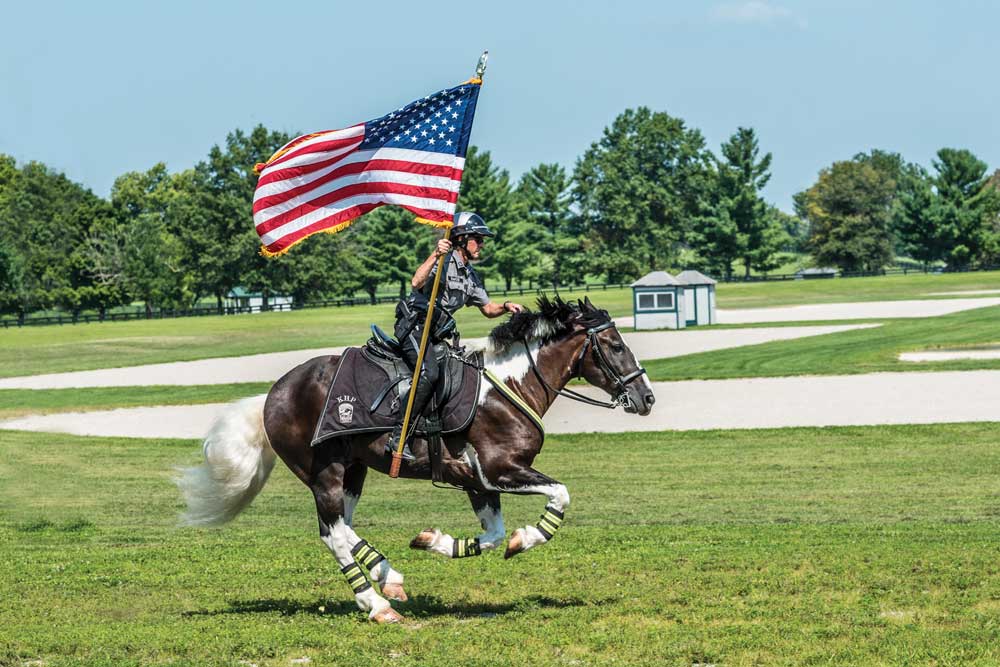 Meet Oliver the Police Horse