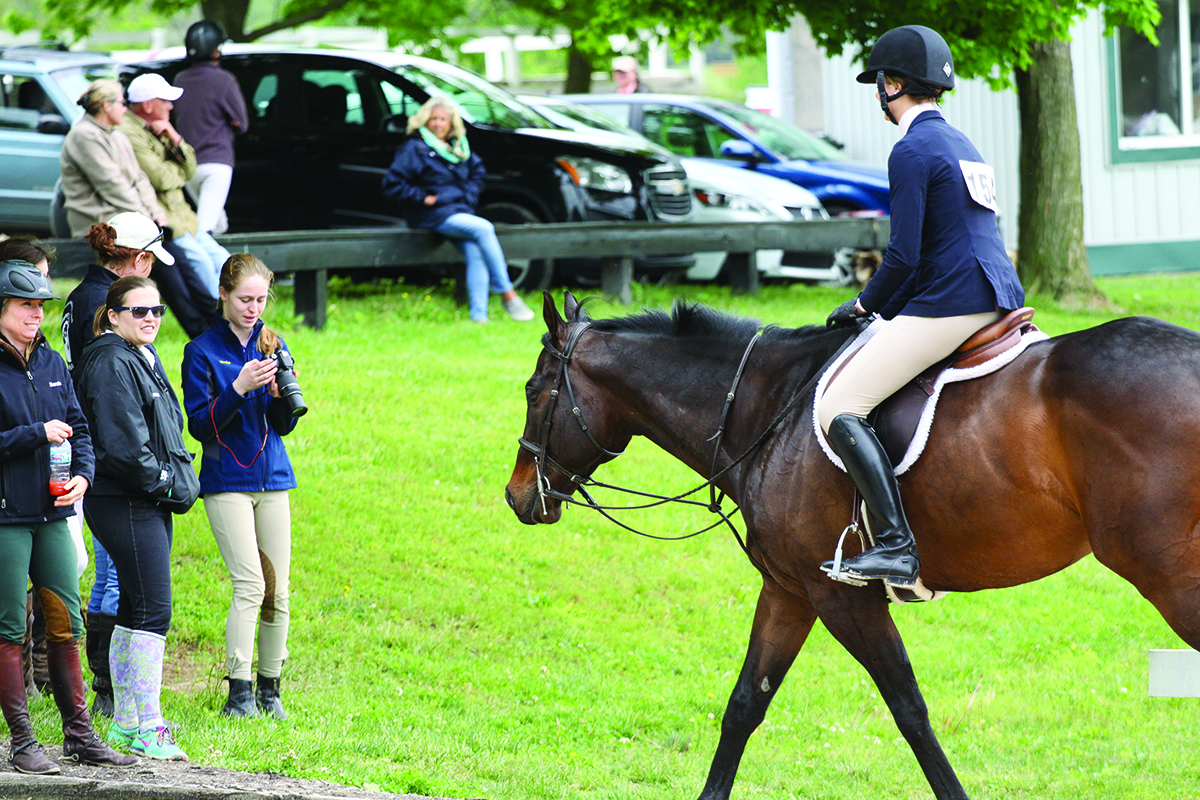 Perfect Horse Show Turnout