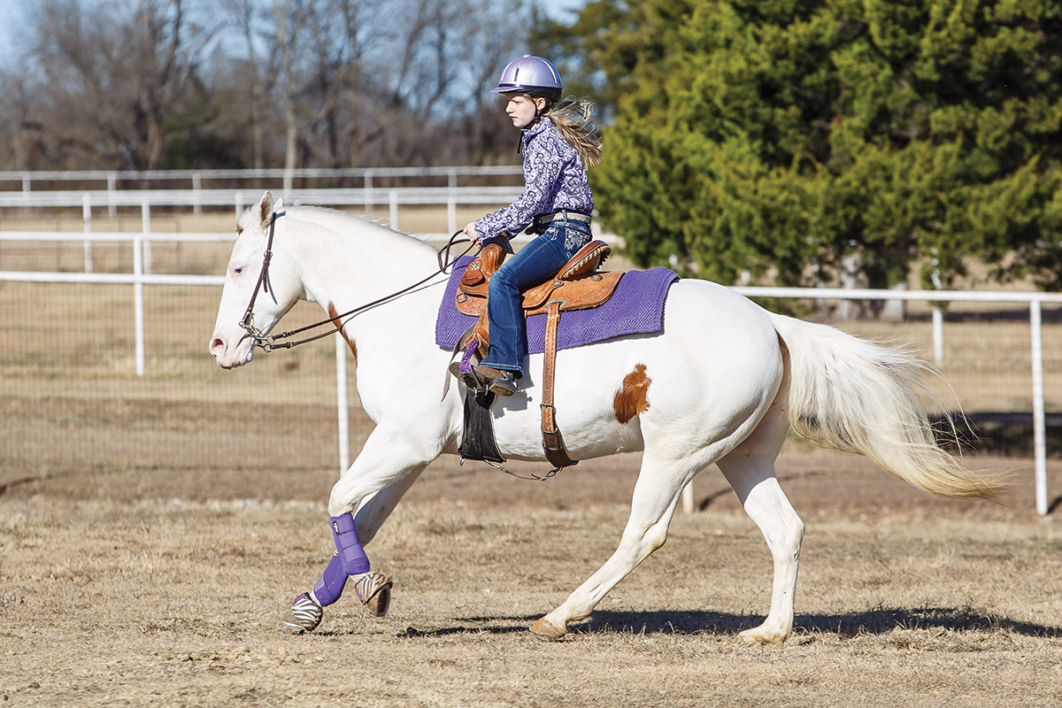 The Extended Western Gaits