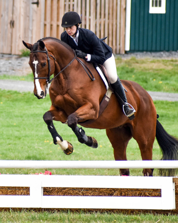 Complete Guide to Intercollegiate Riding Programs