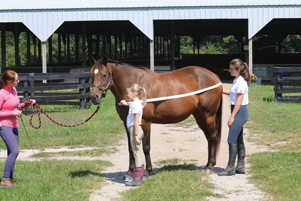 How to Blanket a Horse