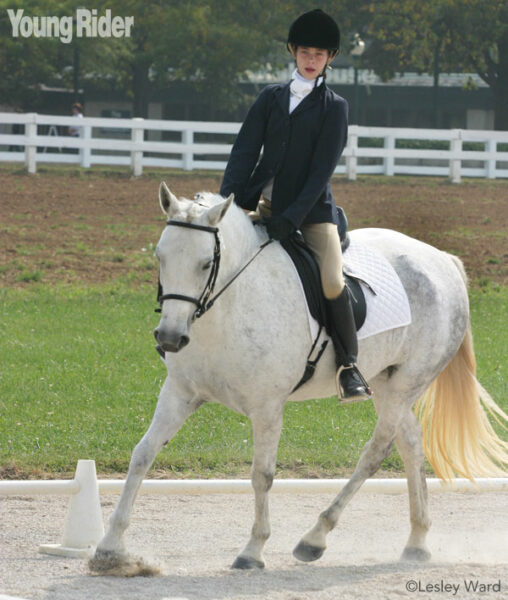 Dressage