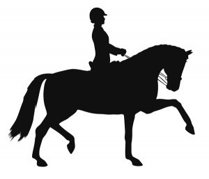 Dressage Rider Silhouette