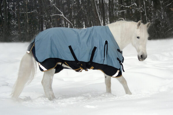 Horse Blanket Dos & Don'ts