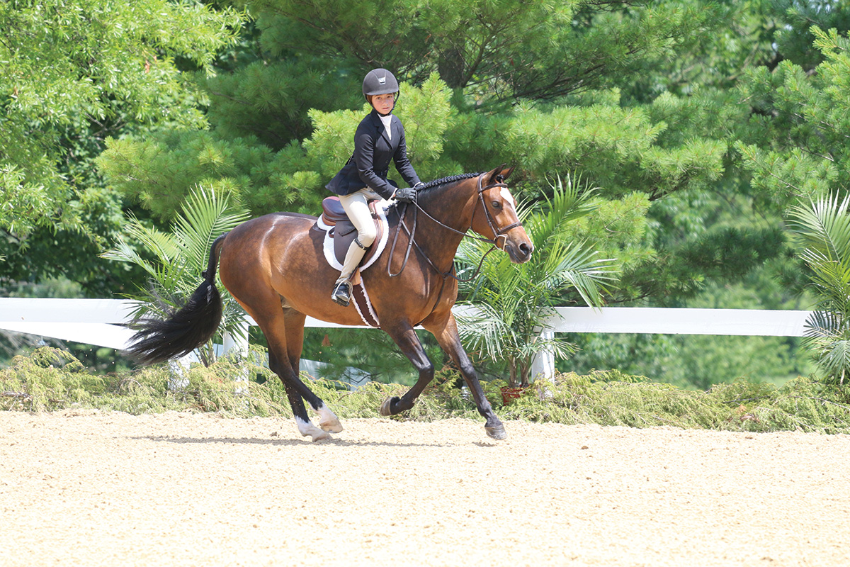 Horse Show Knowledge Quiz