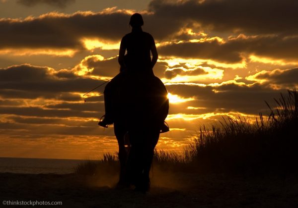 Silhouette Ride