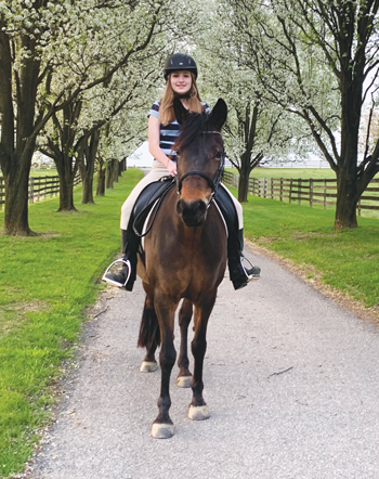 Shelby Falls and Leski - British Native Ponies