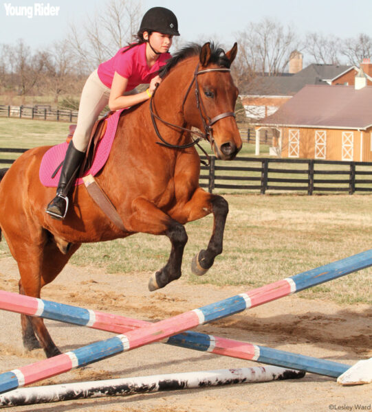 Neck Strap for Jumping